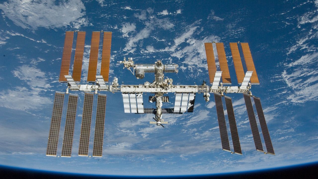 В космосе вырастили ткань почек и печени — это прорыв в медицине!
